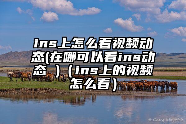 ins上怎么看视频动态(在哪可以看ins动态 )（ins上的视频怎么看）