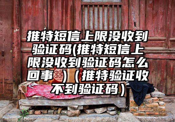 推特短信上限没收到验证码(推特短信上限没收到验证码怎么回事 )（推特验证收不到验证码）