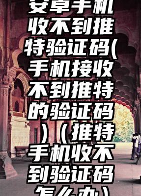 安卓手机收不到推特验证码(手机接收不到推特的验证码 )（推特手机收不到验证码怎么办）