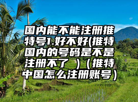 国内能不能注册推特号1.好不好(推特国内的号码是不是注册不了 )（推特中国怎么注册账号）