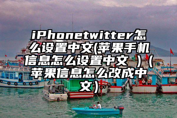iPhonetwitter怎么设置中文(苹果手机信息怎么设置中文 )（苹果信息怎么改成中文）