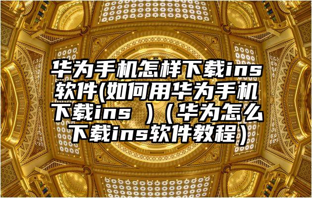 华为手机怎样下载ins软件(如何用华为手机下载ins )（华为怎么下载ins软件教程）