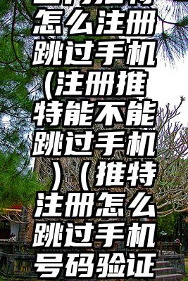 国内推特怎么注册跳过手机(注册推特能不能跳过手机 )（推特注册怎么跳过手机号码验证）