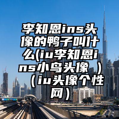 李知恩ins头像的鸭子叫什么(iu李知恩ins小鸟头像 )（iu头像个性网）
