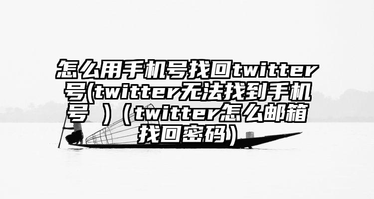 怎么用手机号找回twitter号(twitter无法找到手机号 )（twitter怎么邮箱找回密码）
