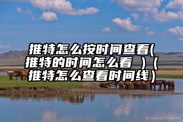 推特怎么按时间查看(推特的时间怎么看 )（推特怎么查看时间线）