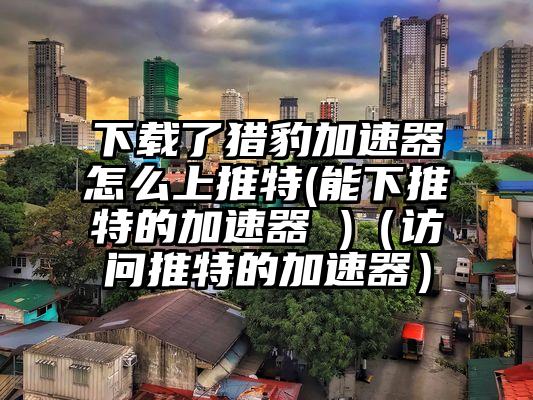 下载了猎豹加速器怎么上推特(能下推特的加速器 )（访问推特的加速器）