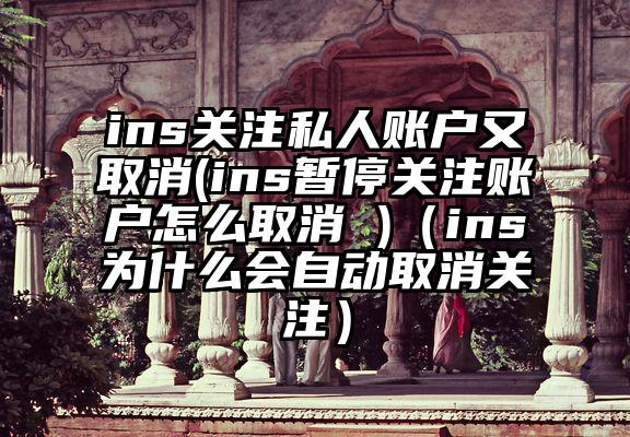 ins关注私人账户又取消(ins暂停关注账户怎么取消 )（ins为什么会自动取消关注）
