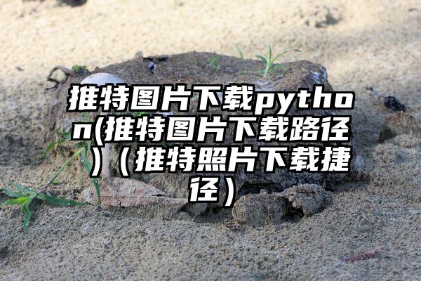 推特图片下载python(推特图片下载路径 )（推特照片下载捷径）