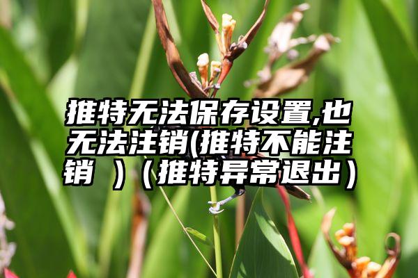 推特无法保存设置,也无法注销(推特不能注销 )（推特异常退出）
