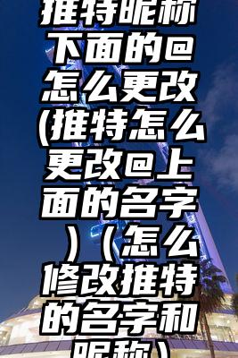 推特昵称下面的@怎么更改(推特怎么更改@上面的名字 )（怎么修改推特的名字和昵称）