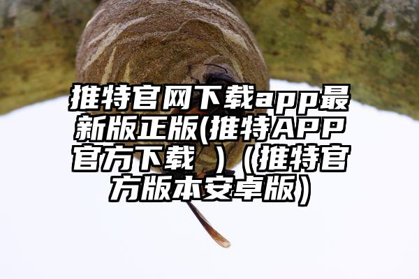 推特官网下载app最新版正版(推特APP官方下载 )（推特官方版本安卓版）