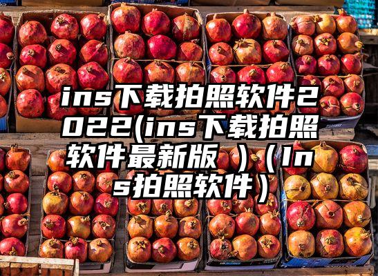 ins下载拍照软件2022(ins下载拍照软件最新版 )（Ins拍照软件）