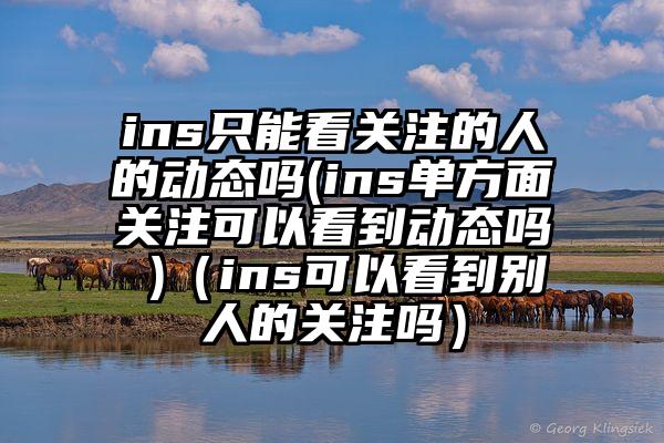 ins只能看关注的人的动态吗(ins单方面关注可以看到动态吗 )（ins可以看到别人的关注吗）