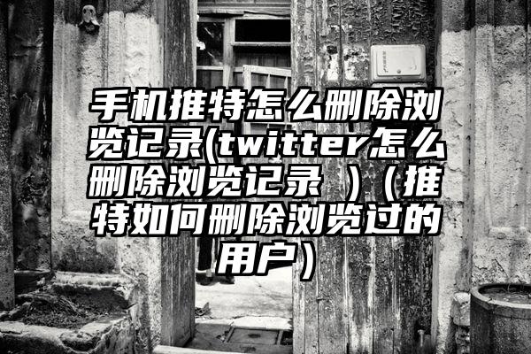 手机推特怎么删除浏览记录(twitter怎么删除浏览记录 )（推特如何删除浏览过的用户）