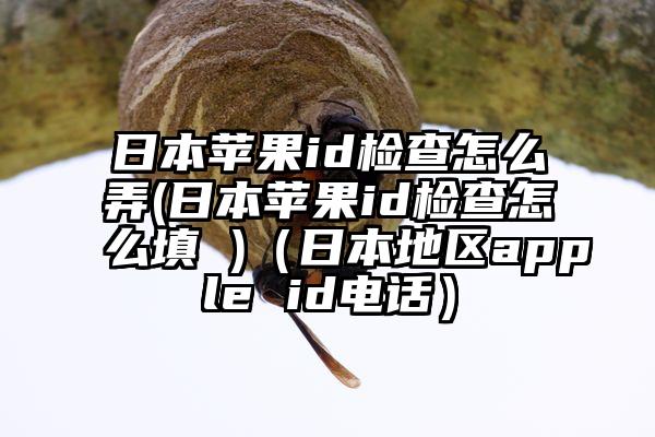 日本苹果id检查怎么弄(日本苹果id检查怎么填 )（日本地区apple id电话）