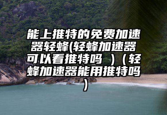 能上推特的免费加速器轻蜂(轻蜂加速器可以看推特吗 )（轻蜂加速器能用推特吗）