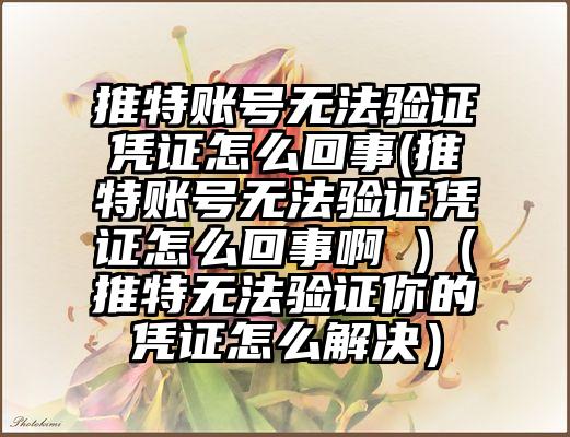 推特账号无法验证凭证怎么回事(推特账号无法验证凭证怎么回事啊 )（推特无法验证你的凭证怎么解决）