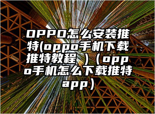 OPPO怎么安装推特(oppo手机下载推特教程 )（oppo手机怎么下载推特app）