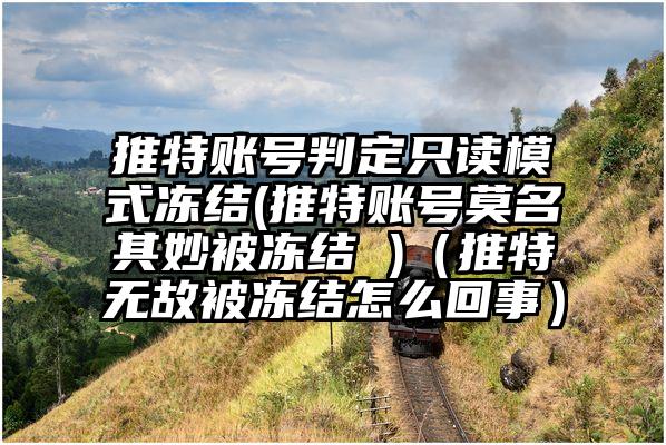 推特账号判定只读模式冻结(推特账号莫名其妙被冻结 )(推特无故被冻结怎么回事)