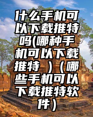 什么手机可以下载推特吗(哪种手机可以下载推特 )（哪些手机可以下载推特软件）