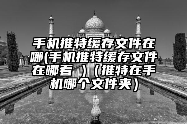 手机推特缓存文件在哪(手机推特缓存文件在哪看 )（推特在手机哪个文件夹）