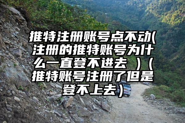 推特注册账号点不动(注册的推特账号为什么一直登不进去 )（推特账号注册了但是登不上去）