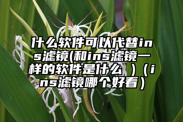 什么软件可以代替ins滤镜(和ins滤镜一样的软件是什么 )（ins滤镜哪个好看）