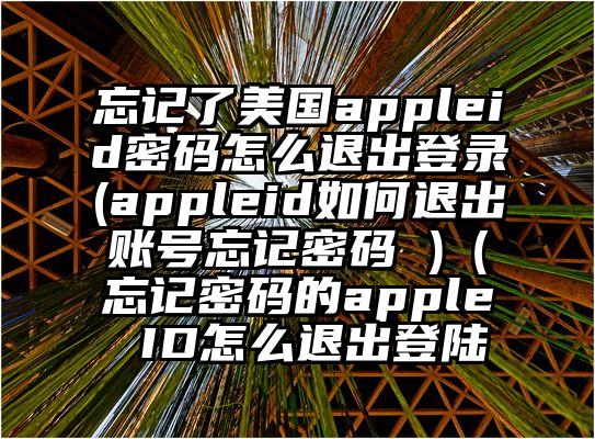 忘记了美国appleid密码怎么退出登录(appleid如何退出账号忘记密码 )（忘记密码的apple ID怎么退出登陆