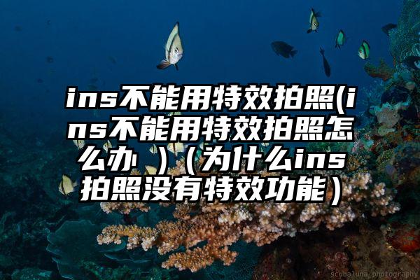ins不能用特效拍照(ins不能用特效拍照怎么办 )（为什么ins拍照没有特效功能）