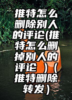 推特怎么删除别人的评论(推特怎么删掉别人的评论 )（推特删除转发）