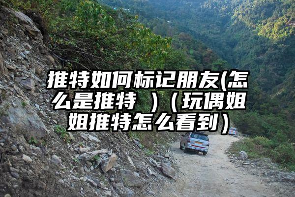 推特如何标记朋友(怎么是推特 )（玩偶姐姐推特怎么看到）