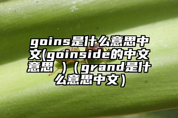 goins是什么意思中文(goinside的中文意思 )（grand是什么意思中文）