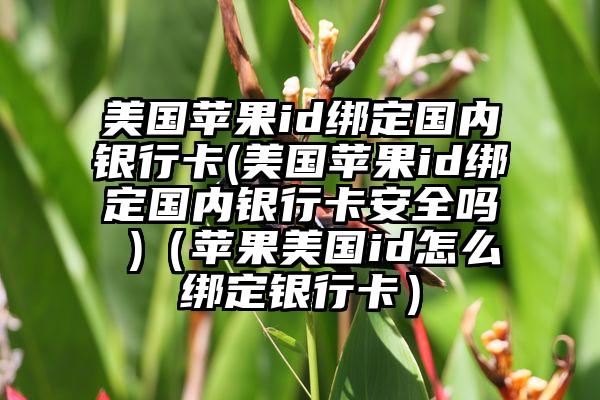 美国苹果id绑定国内银行卡(美国苹果id绑定国内银行卡安全吗 )(苹果美国id怎么绑定银行卡)
