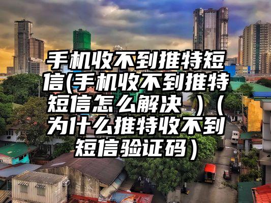 手机收不到推特短信(手机收不到推特短信怎么解决 )（为什么推特收不到短信验证码）