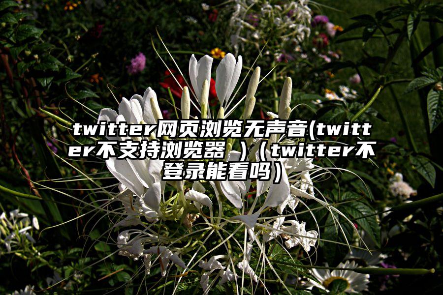 twitter网页浏览无声音(twitter不支持浏览器 )（twitter不登录能看吗）