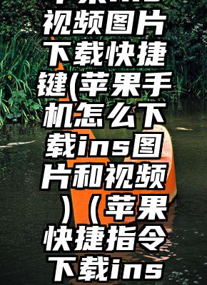 苹果ins视频图片下载快捷键(苹果手机怎么下载ins图片和视频 )（苹果快捷指令下载ins图片）