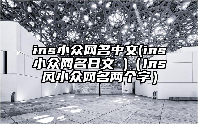 ins小众网名中文(ins小众网名日文 )（ins风小众网名两个字）