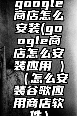 google商店怎么安装(google商店怎么安装应用 )（怎么安装谷歌应用商店软件）