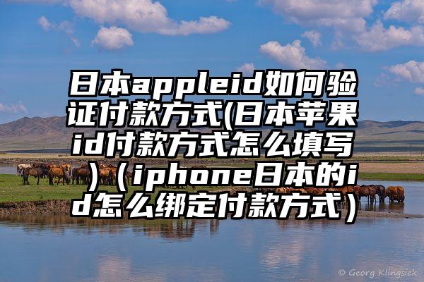 日本appleid如何验证付款方式(日本苹果id付款方式怎么填写 )（iphone日本的id怎么绑定付款方式）