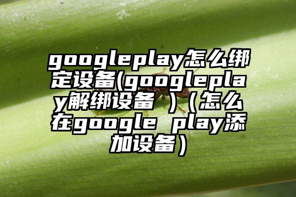 googleplay怎么绑定设备(googleplay解绑设备 )（怎么在google play添加设备）
