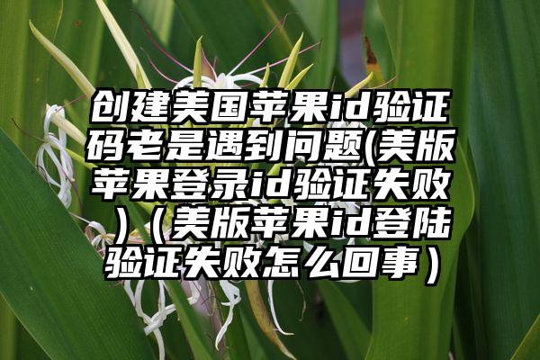创建美国苹果id验证码老是遇到问题(美版苹果登录id验证失败 )（美版苹果id登陆验证失败怎么回事）