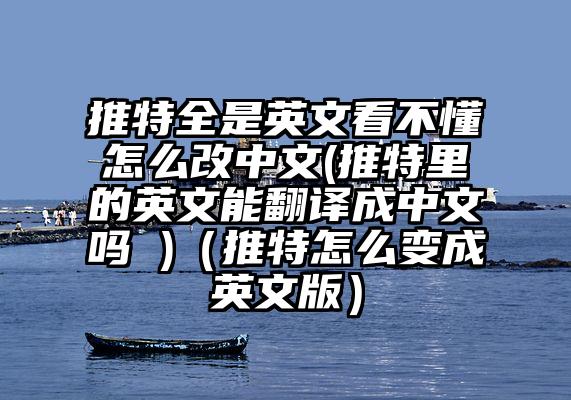 推特全是英文看不懂怎么改中文(推特里的英文能翻译成中文吗 )（推特怎么变成英文版）