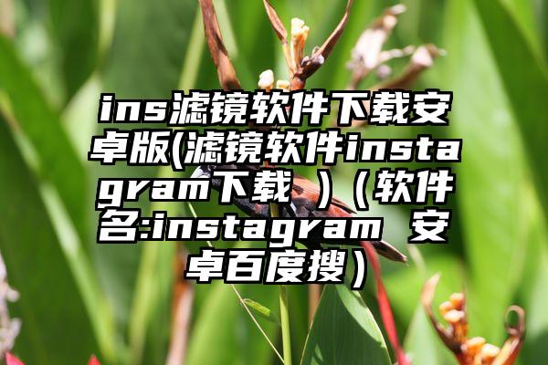 ins滤镜软件下载安卓版(滤镜软件instagram下载 )（软件名:instagram 安卓百度搜）