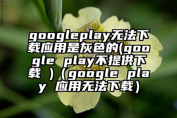 googleplay无法下载应用是灰色的(google play不提供下载 )（google play 应用无法下载）