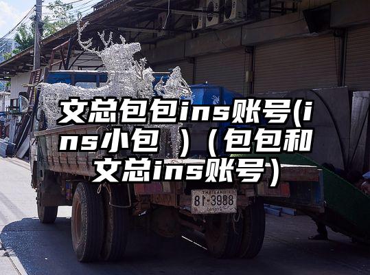 文总包包ins账号(ins小包 )（包包和文总ins账号）