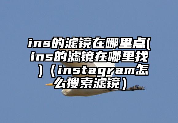 ins的滤镜在哪里点(ins的滤镜在哪里找 )（instagram怎么搜索滤镜）