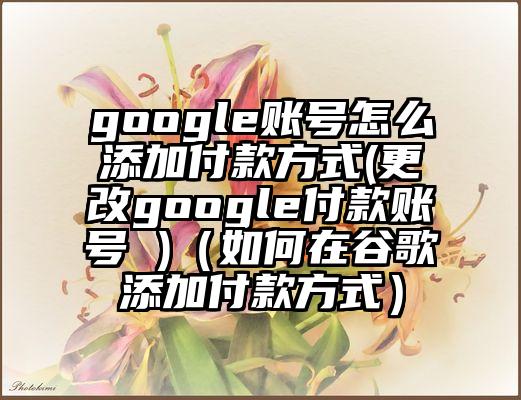 google账号怎么添加付款方式(更改google付款账号 )（如何在谷歌添加付款方式）