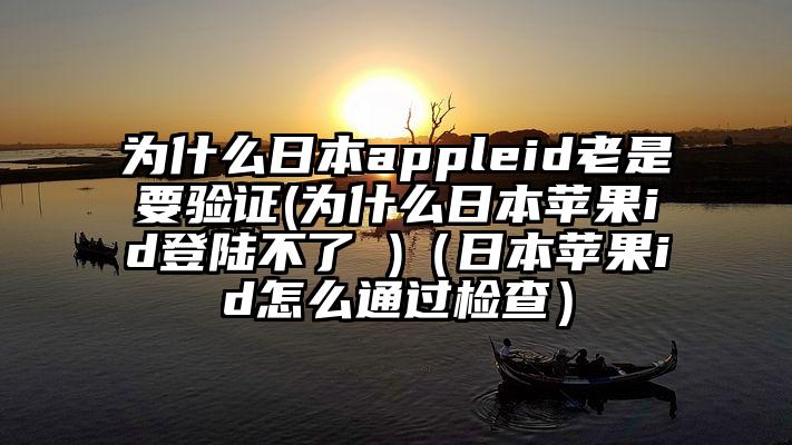 为什么日本appleid老是要验证(为什么日本苹果id登陆不了 )（日本苹果id怎么通过检查）