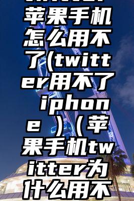 twitter苹果手机怎么用不了(twitter用不了 iphone )（苹果手机twitter为什么用不了）